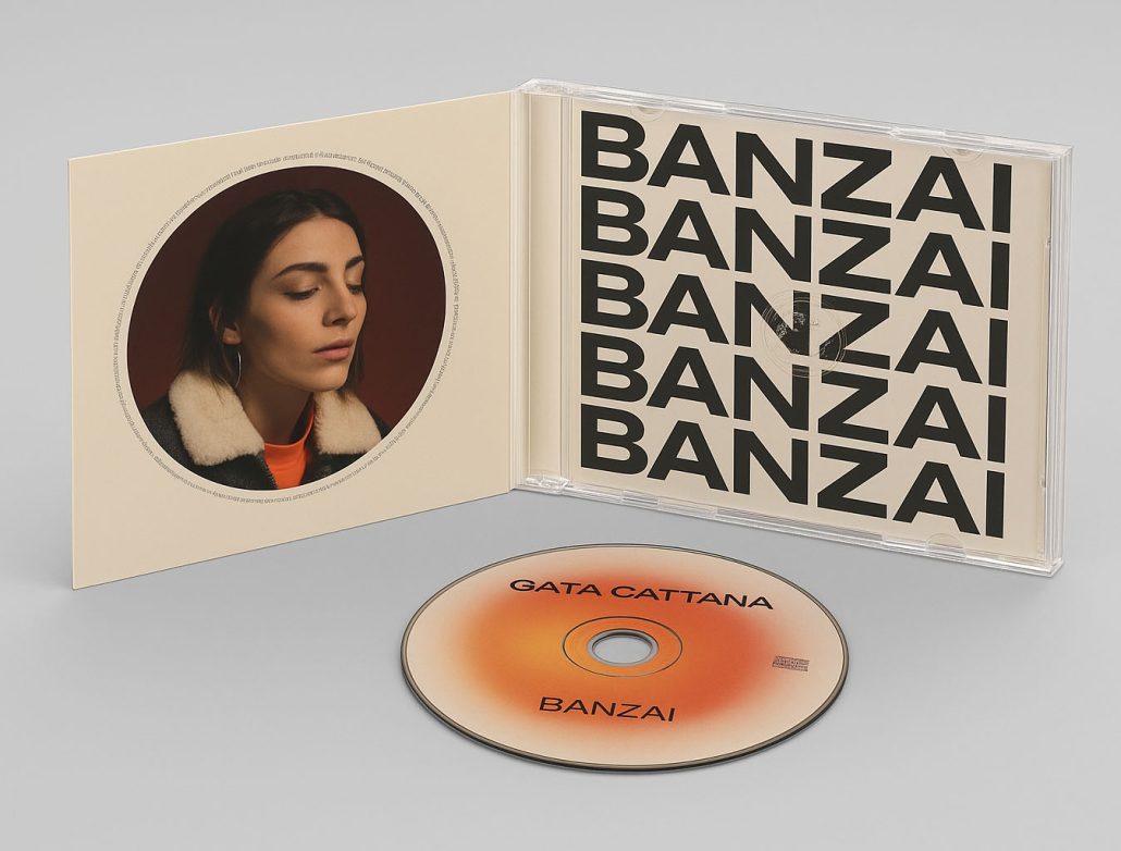 digipack fabricacion